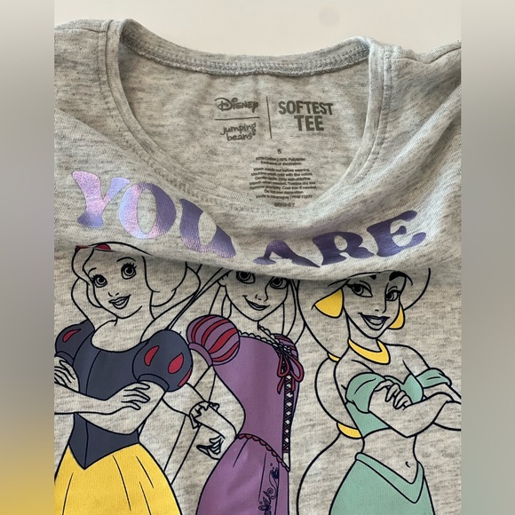 DISNEY Princess Gray Long Sleeve Graphic Tee with Ruffles - Toddler Girls 5T - Picture 3 of 4